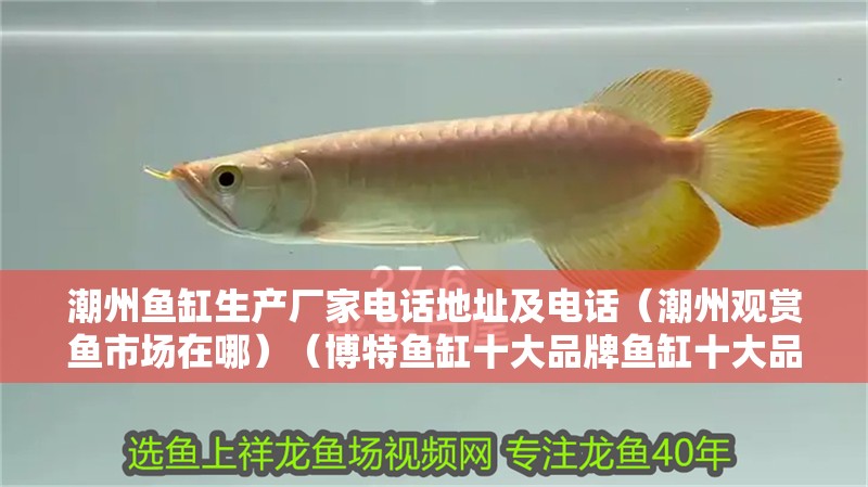 潮州魚缸生產廠家電話地址及電話（潮州觀賞魚市場在哪）（博特魚缸十大品牌魚缸十大品牌排行榜，博特魚缸十大品牌排行榜）