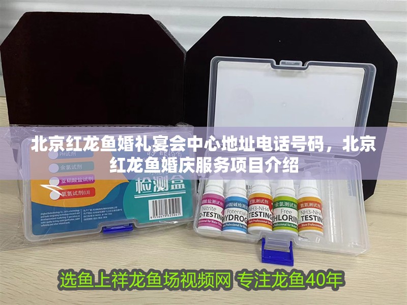 北京紅龍魚婚禮宴會中心地址電話號碼，北京紅龍魚婚慶服務項目介紹
