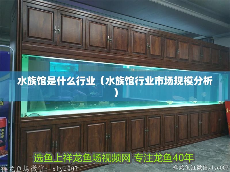 水族館是什么行業(yè)（水族館行業(yè)市場規(guī)模分析）