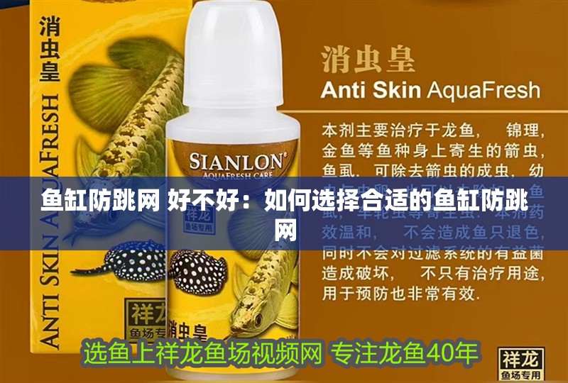 魚缸防跳網 好不好：如何選擇合適的魚缸防跳網