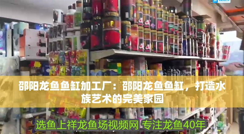 邵陽龍魚魚缸加工廠：邵陽龍魚魚缸，打造水族藝術的完美家園