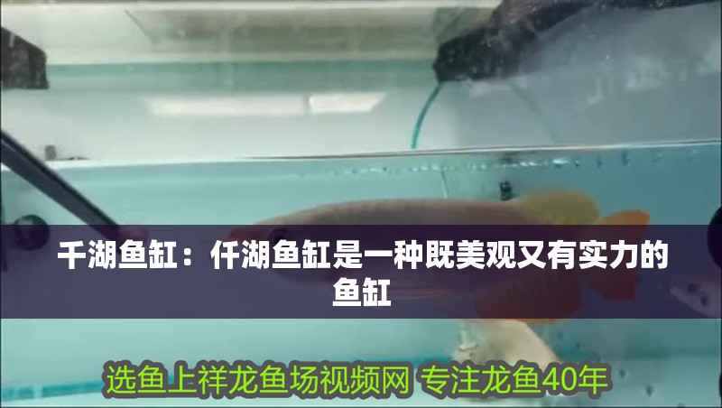 千湖魚缸：仟湖魚缸是一種既美觀又有實力的魚缸