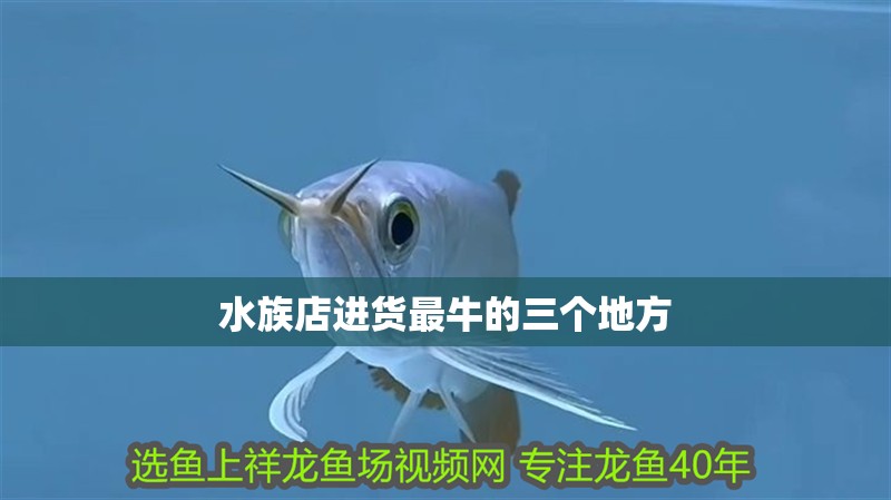 水族店進貨最牛的三個地方 水族店進貨最牛的三個地方 龍魚論壇