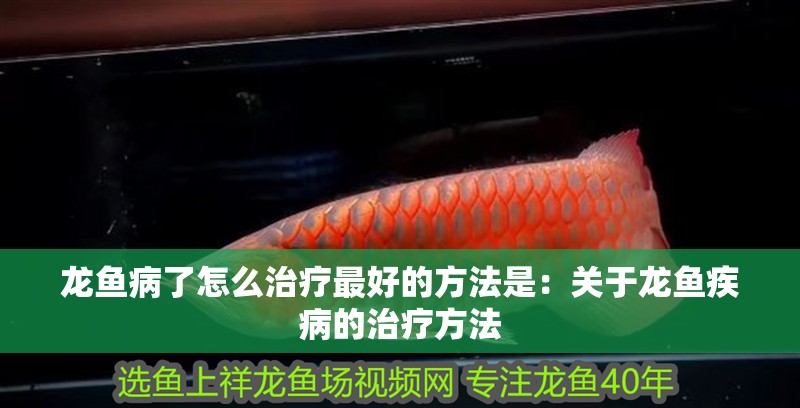 龍魚病了怎么治療最好的方法是：關于龍魚疾病的治療方法