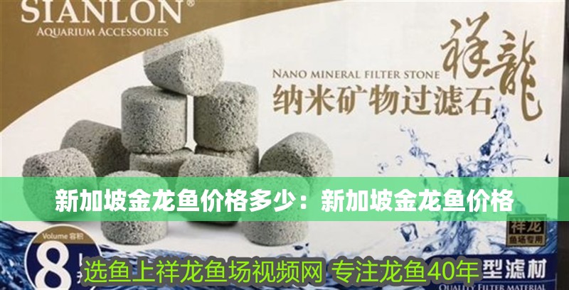 新加坡金龍魚價格多少：新加坡金龍魚價格