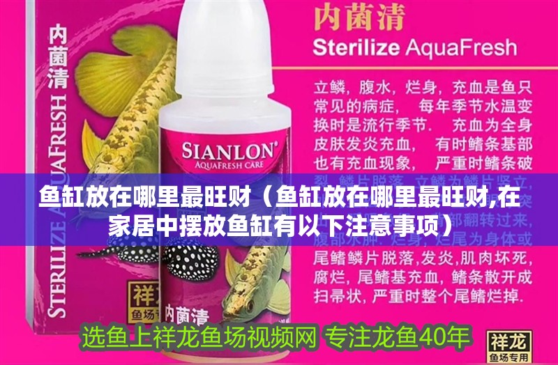 魚缸放在哪里最旺財（魚缸放在哪里最旺財,在家居中擺放魚缸有以下注意事項）