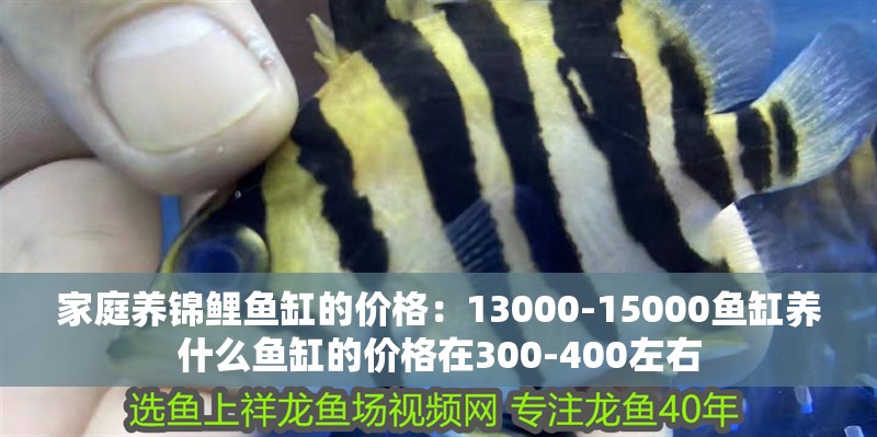 家庭養(yǎng)錦鯉魚缸的價(jià)格：13000-15000魚缸養(yǎng)什么魚缸的價(jià)格在300-400左右