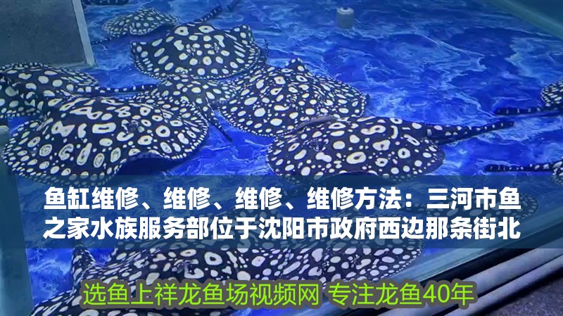 魚缸維修、維修、維修、維修方法：三河市魚之家水族服務部位于沈陽市政府西邊那條街北京上門修魚缸