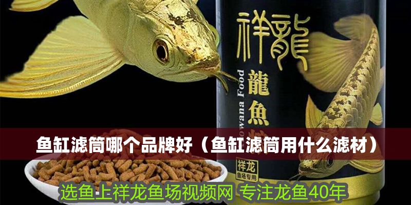魚缸濾筒哪個品牌好（魚缸濾筒用什么濾材）