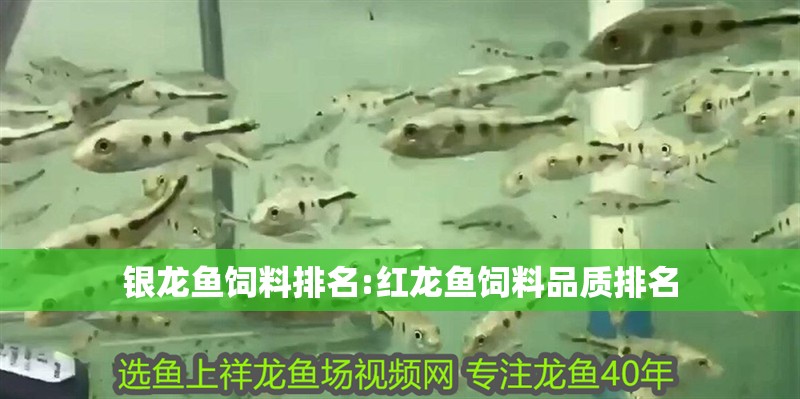 銀龍魚飼料排名:紅龍魚飼料品質(zhì)排名
