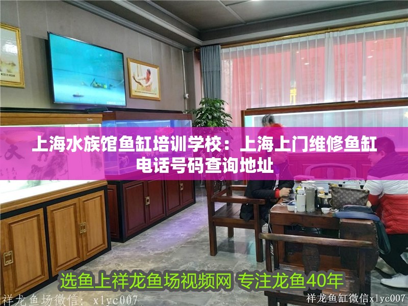 上海水族館魚缸培訓(xùn)學(xué)校：上海上門維修魚缸電話號(hào)碼查詢地址