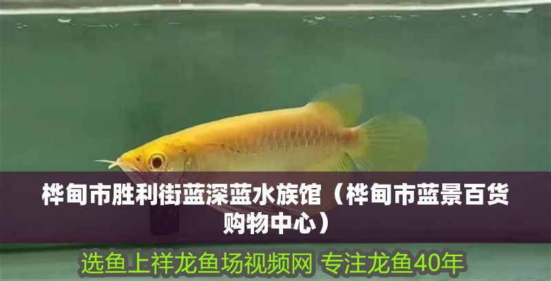 樺甸市勝利街藍深藍水族館（樺甸市藍景百貨購物中心）