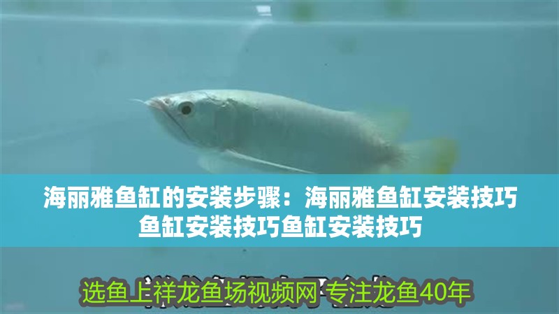 海麗雅魚缸的安裝步驟：海麗雅魚缸安裝技巧魚缸安裝技巧魚缸安裝技巧