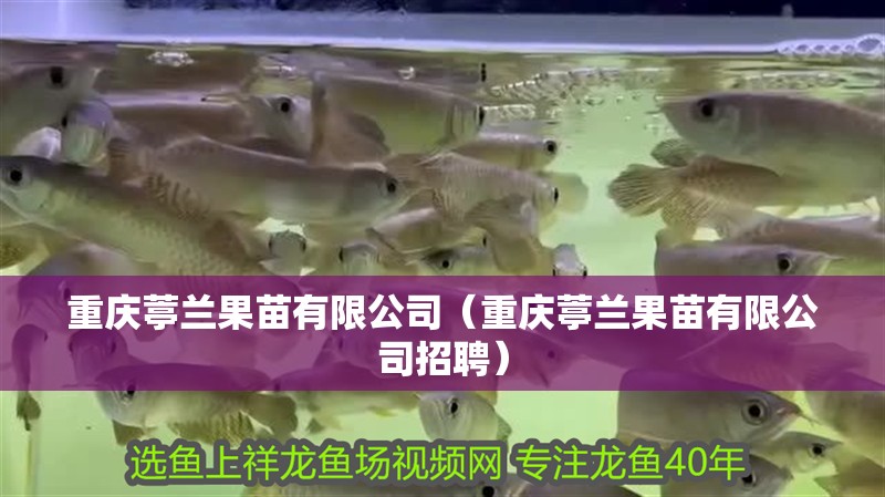 重慶葶蘭果苗有限公司（重慶葶蘭果苗有限公司招聘）