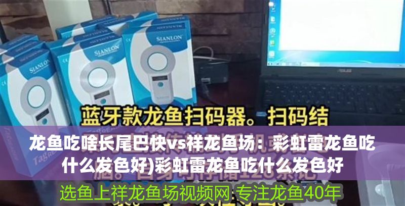 龍魚吃啥長尾巴快vs祥龍魚場：彩虹雷龍魚吃什么發(fā)色好)彩虹雷龍魚吃什么發(fā)色好