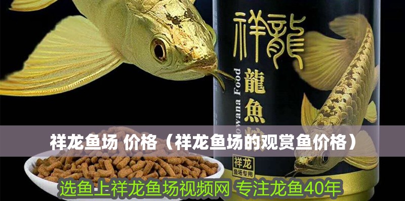 祥龍魚場 價格（祥龍魚場的觀賞魚價格）
