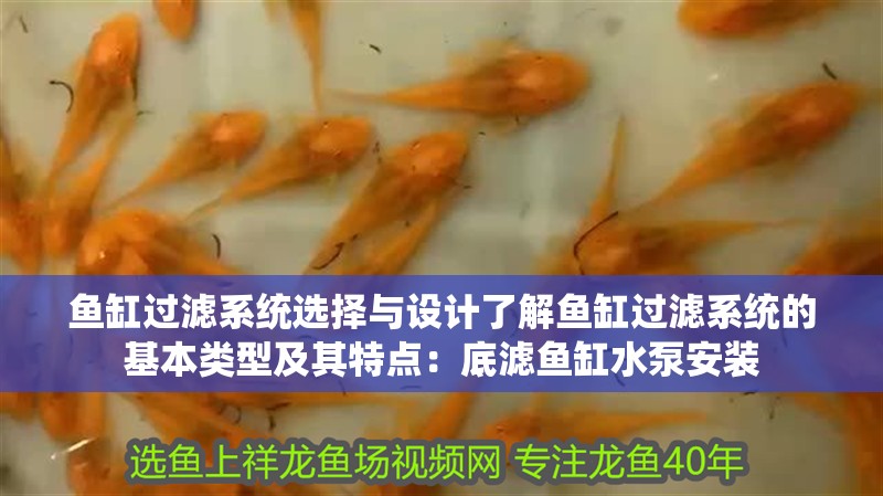 魚缸過濾系統(tǒng)選擇與設(shè)計了解魚缸過濾系統(tǒng)的基本類型及其特點：底濾魚缸水泵安裝