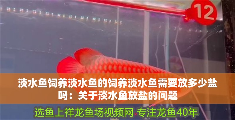 淡水魚飼養淡水魚的飼養淡水魚需要放多少鹽嗎：關于淡水魚放鹽的問題 淡水魚飼養淡水魚的飼養淡水魚需要放多少鹽嗎：關于淡水魚放鹽的問題 魚缸百科