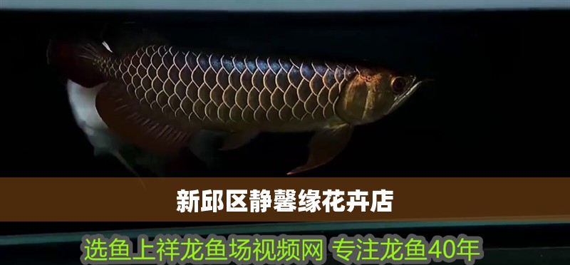 新邱區靜馨緣花卉店