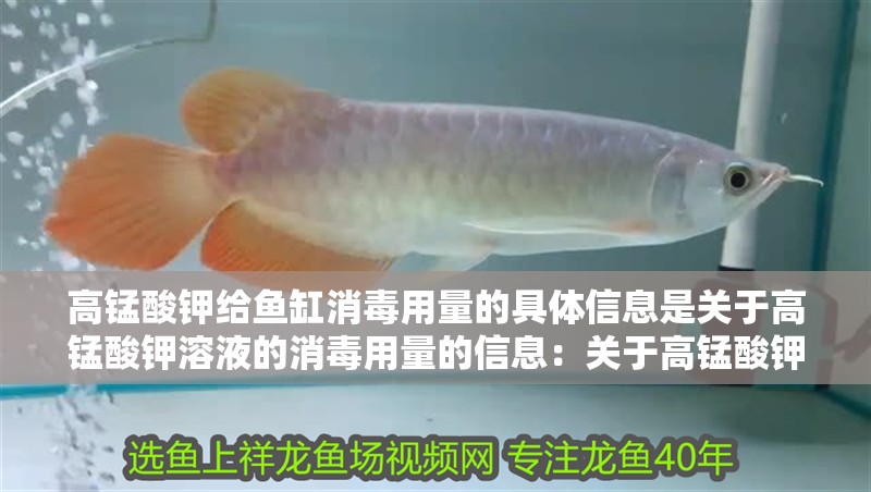 高錳酸鉀給魚缸消毒用量的具體信息是關于高錳酸鉀溶液的消毒用量的信息：關于高錳酸鉀給魚缸消毒用量的具體信息