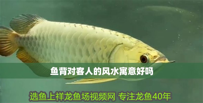 魚背對客人的風(fēng)水寓意好嗎
