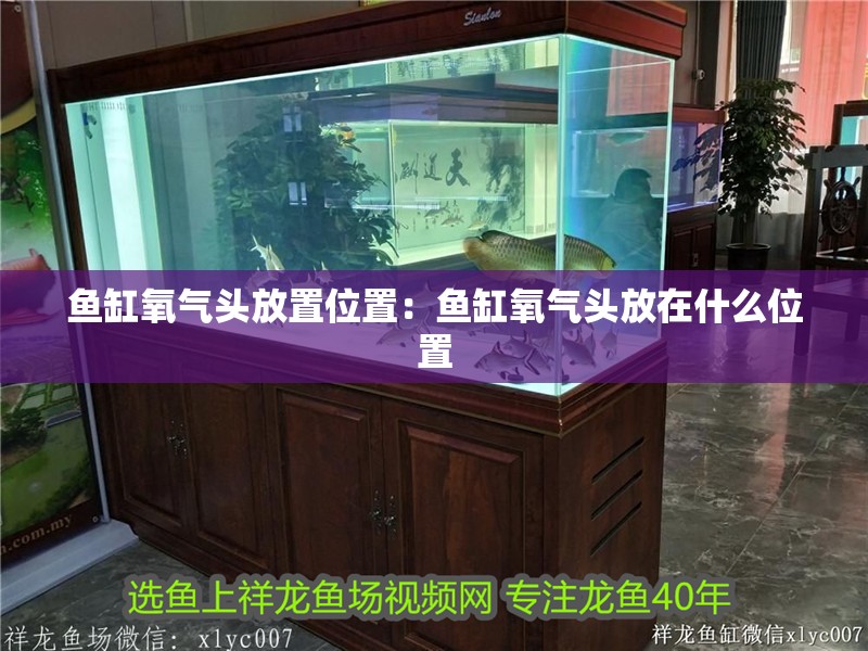 魚缸氧氣頭放置位置：魚缸氧氣頭放在什么位置