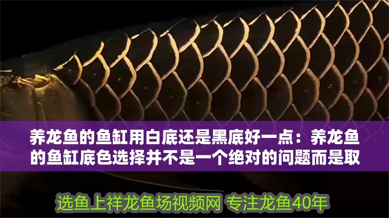 養龍魚的魚缸用白底還是黑底好一點：養龍魚的魚缸底色選擇并不是一個絕對的問題而是取決于個人的喜好