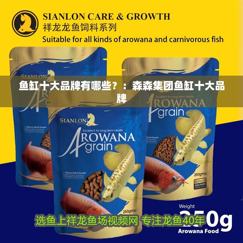 魚缸十大品牌有哪些？：森森集團魚缸十大品牌