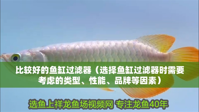 比較好的魚(yú)缸過(guò)濾器（選擇魚(yú)缸過(guò)濾器時(shí)需要考慮的類型、性能、品牌等因素）