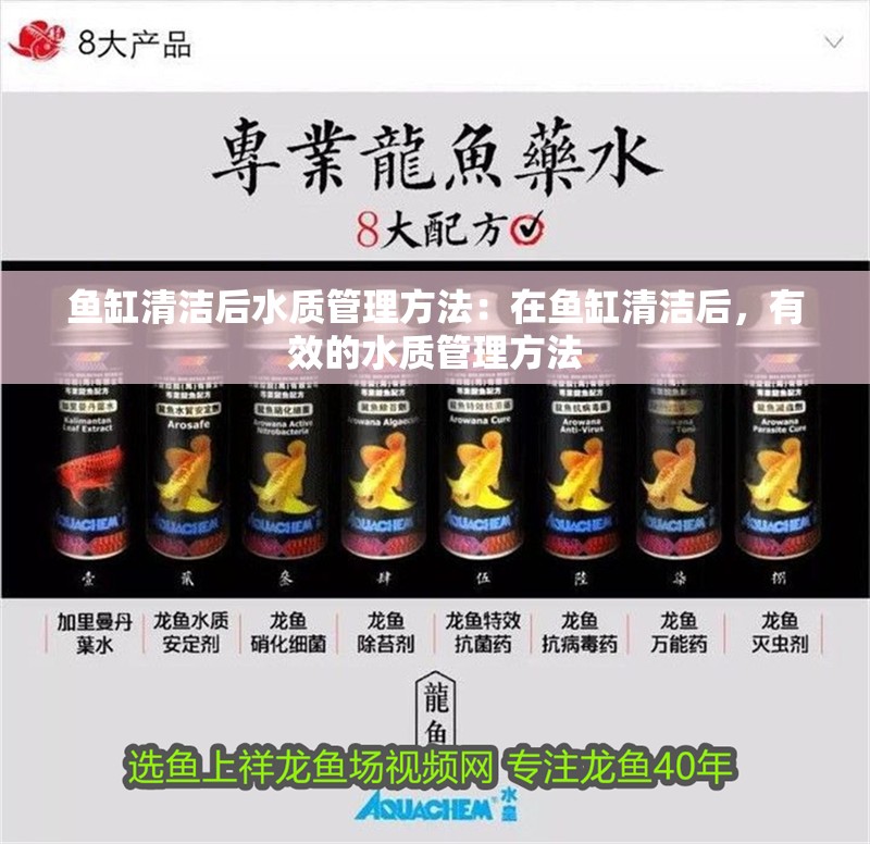 魚缸清潔后水質管理方法：在魚缸清潔后，有效的水質管理方法