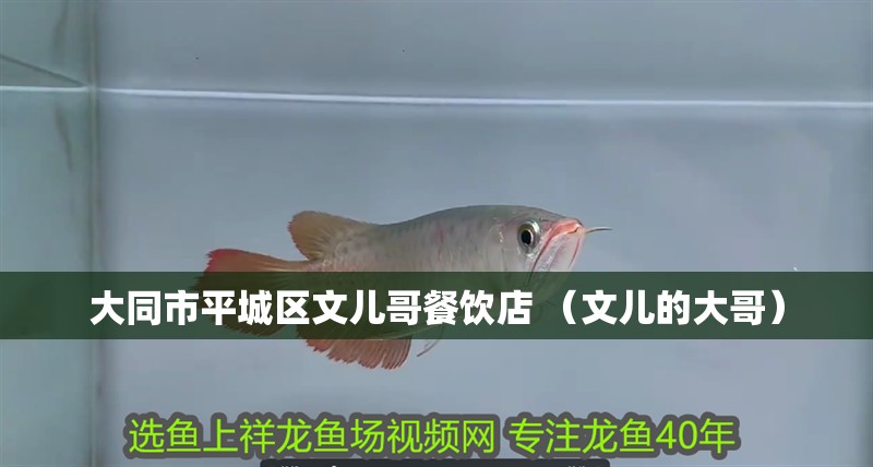 大同市平城區文兒哥餐飲店 （文兒的大哥）