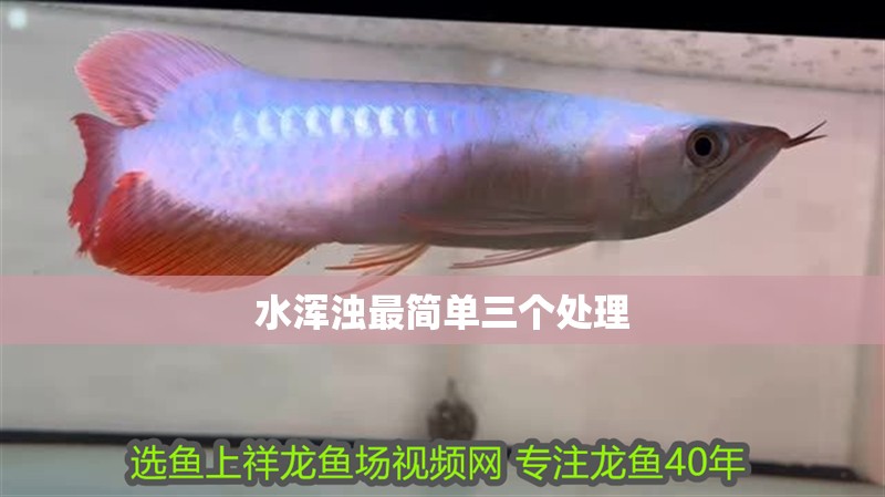 水渾濁最簡單三個處理 水渾濁最簡單三個處理 龍魚論壇