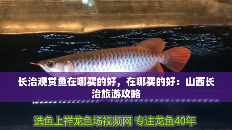 長治觀賞魚在哪買的好，在哪買的好：山西長治旅游攻略