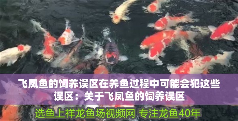 飛鳳魚的飼養(yǎng)誤區(qū)在養(yǎng)魚過程中可能會犯這些誤區(qū)：關(guān)于飛鳳魚的飼養(yǎng)誤區(qū)