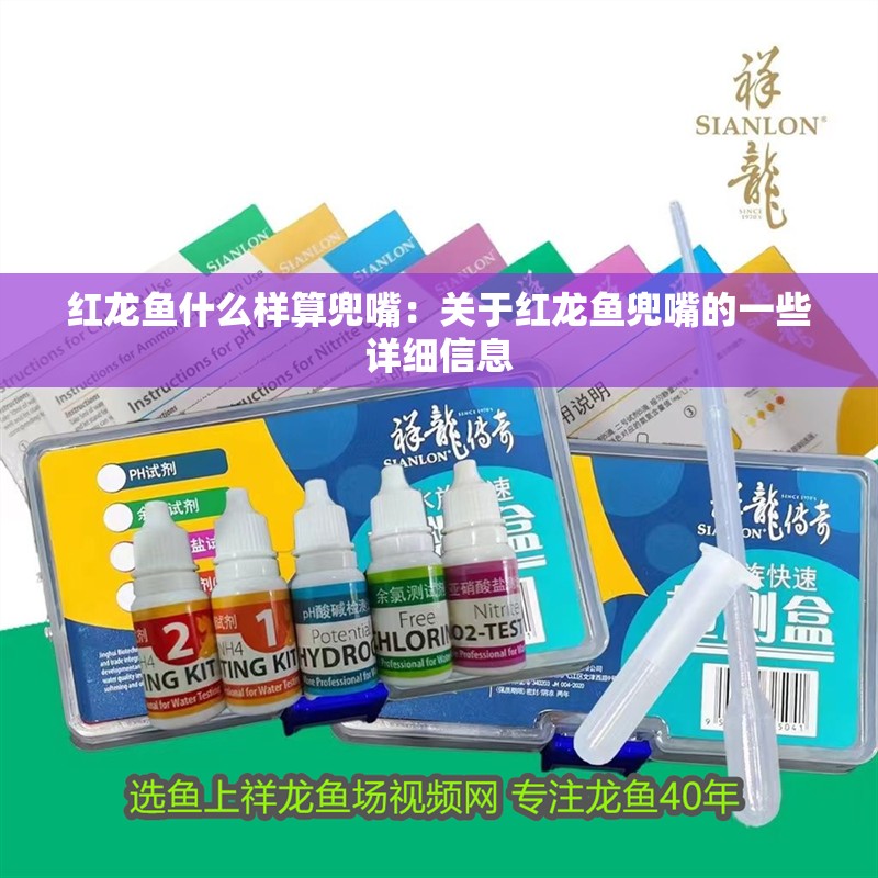 紅龍魚什么樣算兜嘴：關(guān)于紅龍魚兜嘴的一些詳細(xì)信息