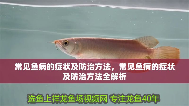 常見魚病的癥狀及防治方法，常見魚病的癥狀及防治方法全解析
