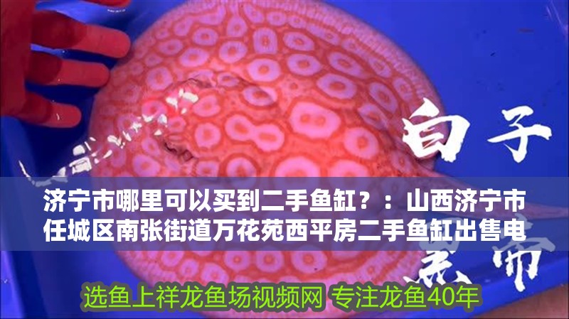 濟寧市哪里可以買到二手魚缸？：山西濟寧市任城區南張街道萬花苑西平房二手魚缸出售電話多少