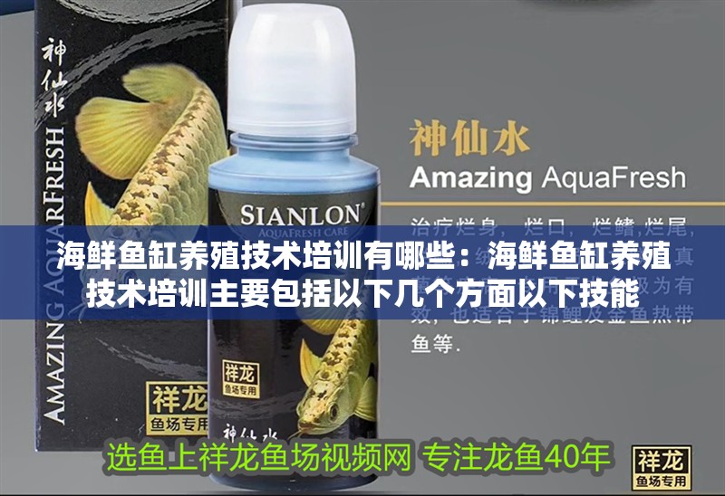 海鮮魚缸養殖技術培訓有哪些：海鮮魚缸養殖技術培訓主要包括以下幾個方面以下技能