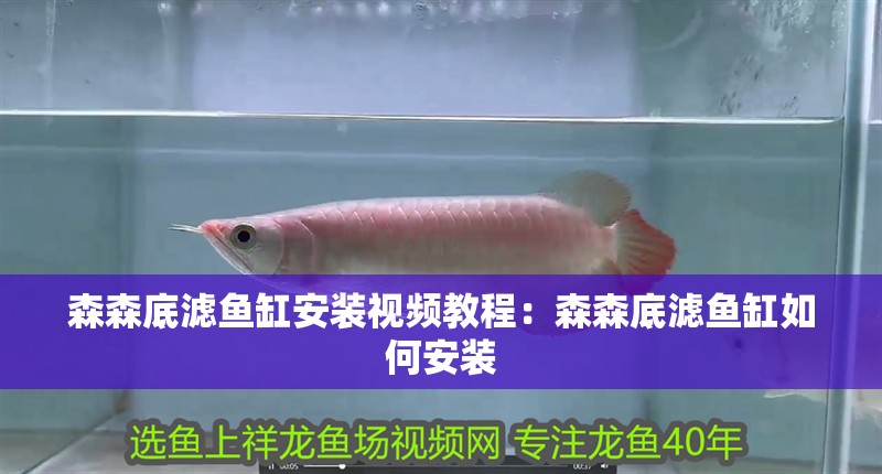 森森底濾魚缸安裝視頻教程：森森底濾魚缸如何安裝