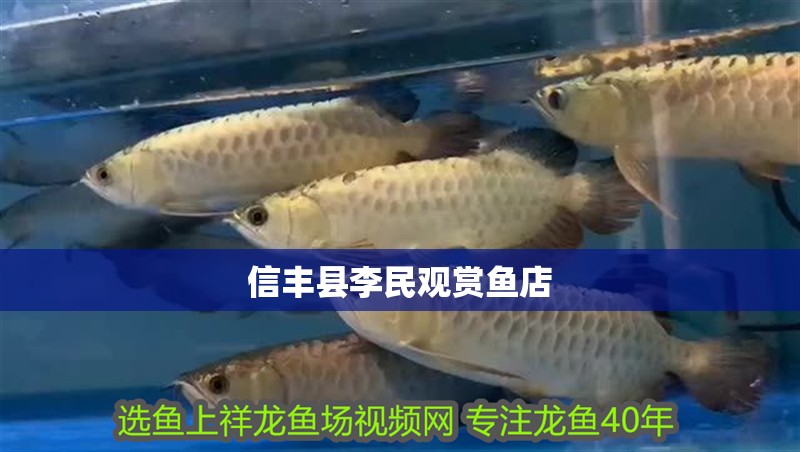 信豐縣李民觀賞魚店