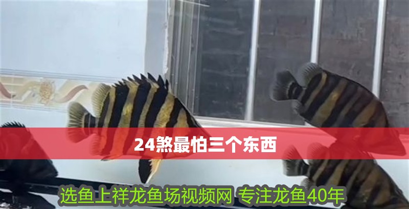 24煞最怕三個東西