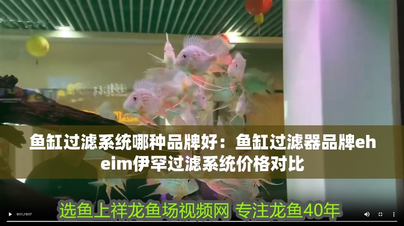 魚(yú)缸過(guò)濾系統(tǒng)哪種品牌好：魚(yú)缸過(guò)濾器品牌eheim伊罕過(guò)濾系統(tǒng)價(jià)格對(duì)比