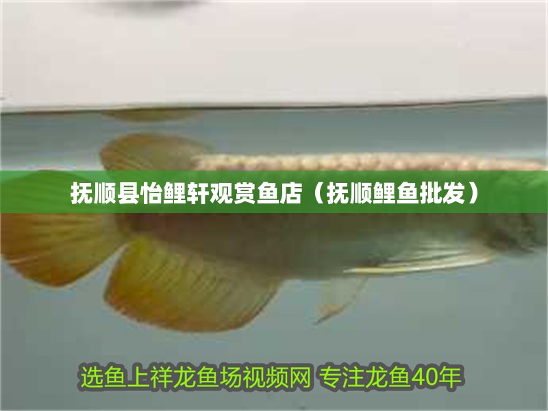 撫順縣怡鯉軒觀賞魚店（撫順鯉魚批發）