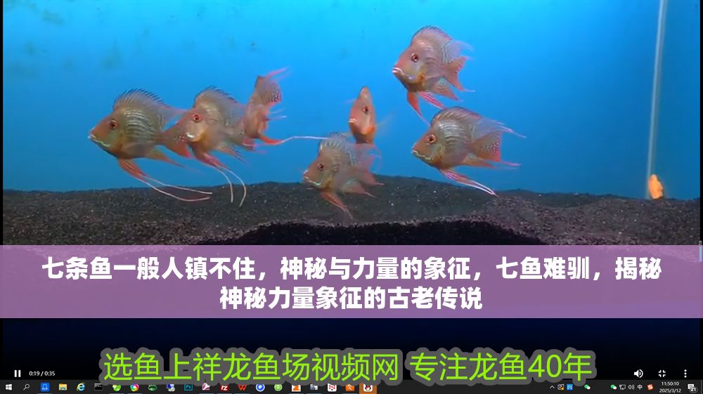 七條魚一般人鎮不住，神秘與力量的象征，七魚難馴，揭秘神秘力量象征的古老傳說