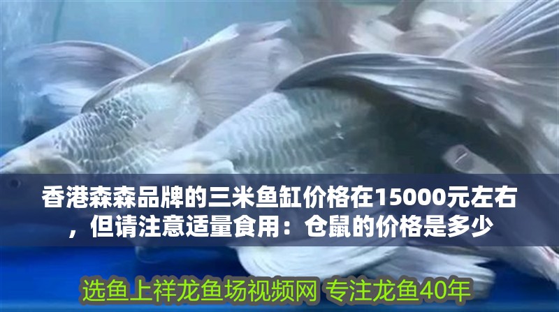 香港森森品牌的三米魚缸價(jià)格在15000元左右，但請(qǐng)注意適量食用：倉(cāng)鼠的價(jià)格是多少