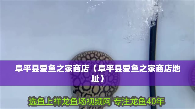 阜平縣愛(ài)魚(yú)之家商店（阜平縣愛(ài)魚(yú)之家商店地址）
