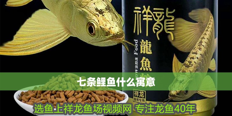 七條鯉魚什么寓意