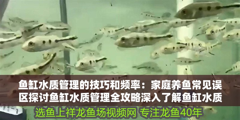 魚缸水質管理的技巧和頻率：家庭養魚常見誤區探討魚缸水質管理全攻略深入了解魚缸水質管理