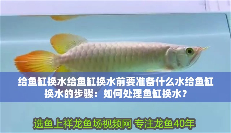 給魚缸換水給魚缸換水前要準備什么水給魚缸換水的步驟：如何處理魚缸換水？
