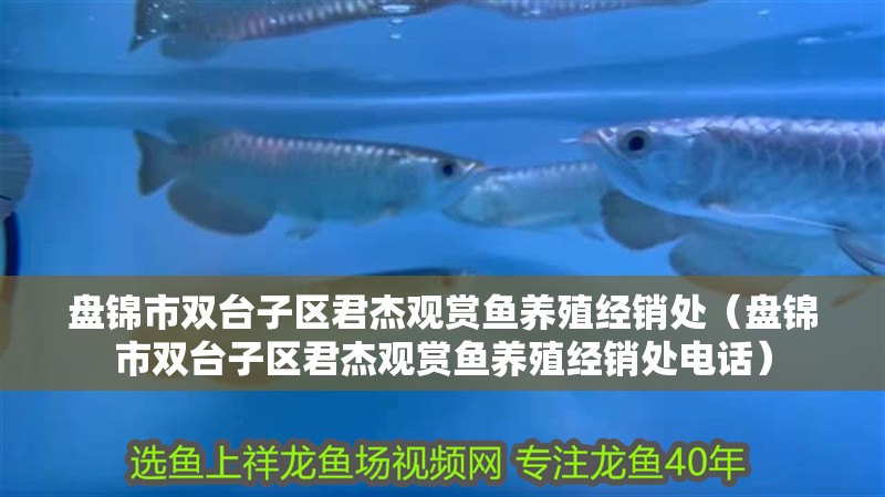 盤(pán)錦市雙臺(tái)子區(qū)君杰觀賞魚(yú)養(yǎng)殖經(jīng)銷(xiāo)處（盤(pán)錦市雙臺(tái)子區(qū)君杰觀賞魚(yú)養(yǎng)殖經(jīng)銷(xiāo)處電話(huà)）